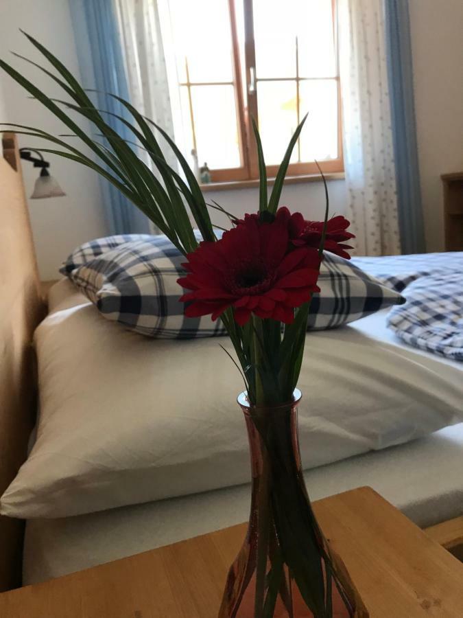 Ferienwohnung Gruber-Hansen Kaltenbach Eksteriør billede